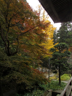 鎌倉　妙本寺の紅葉