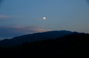 葛城山（写真AC　フリー素材）