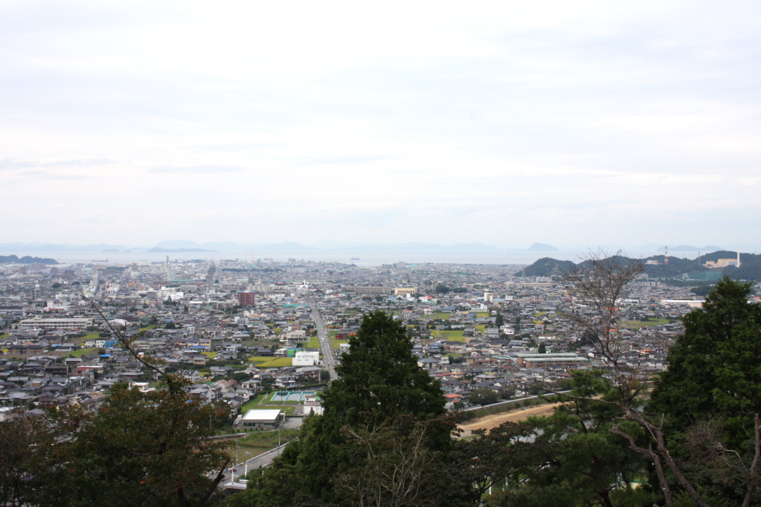 新居浜市街眺望（いよ観ネット）