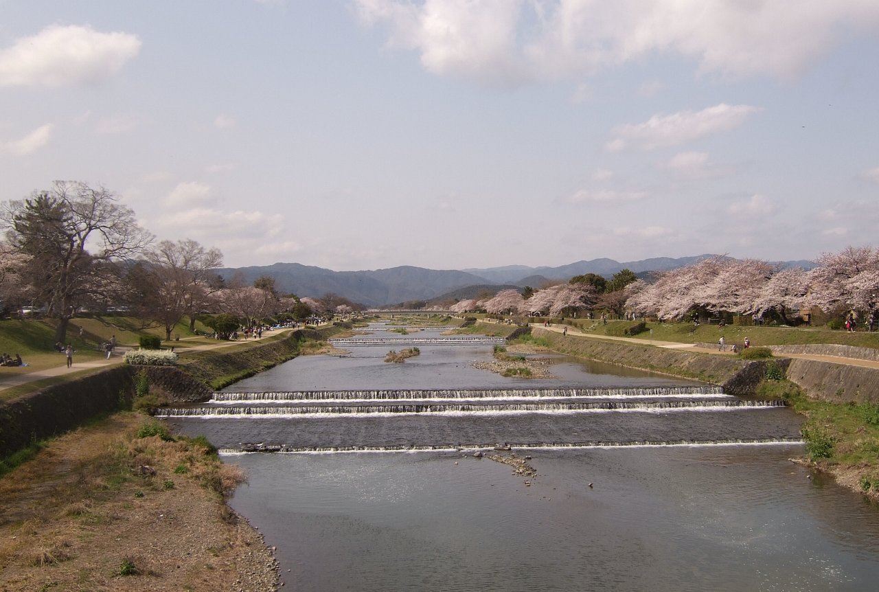 賀茂川